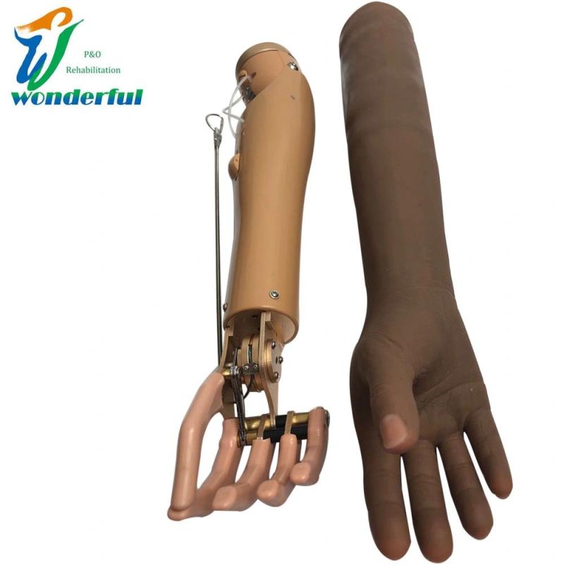 Prosthetic Components Cable Control and Mechanical Prosthesis Hand for Ae