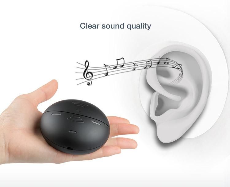 Hearing Aids High Quality Portable Charging Box