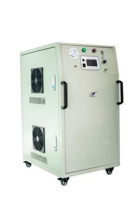 Large Flow Oxygen Generator for Fish Farm