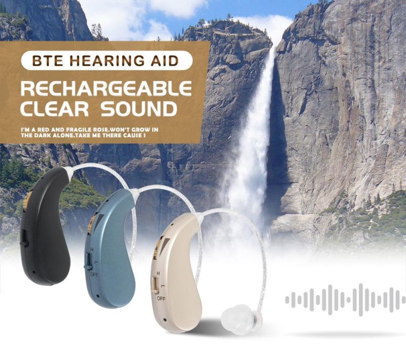 Invisible Aid Programmable Hearing Aid Sound Emplifier