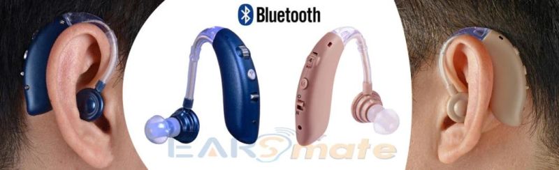 Best Price Earsmate Hearing Aid with Rechargeable Batteries 2021