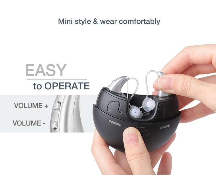 Hearing Aids High Quality Portable Charging Box