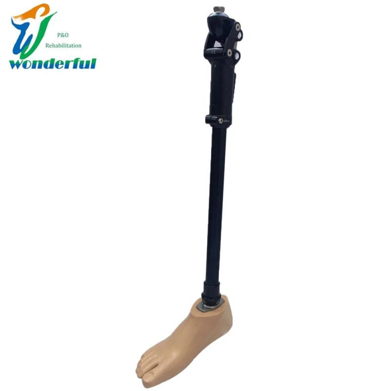 Artificial Limb Prosthetic Leg with Pneumatic Four Bar Knee