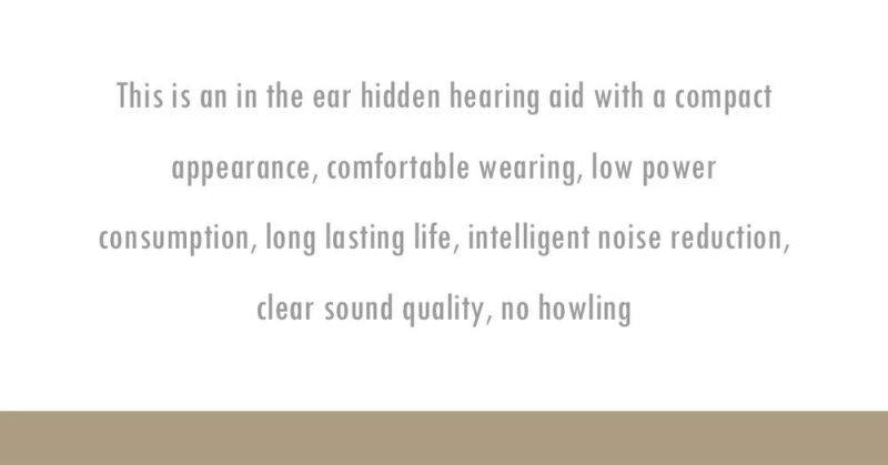 Customized CE Approved Rechargeable Mini Rite Reachargeble Aids Hearing Aid
