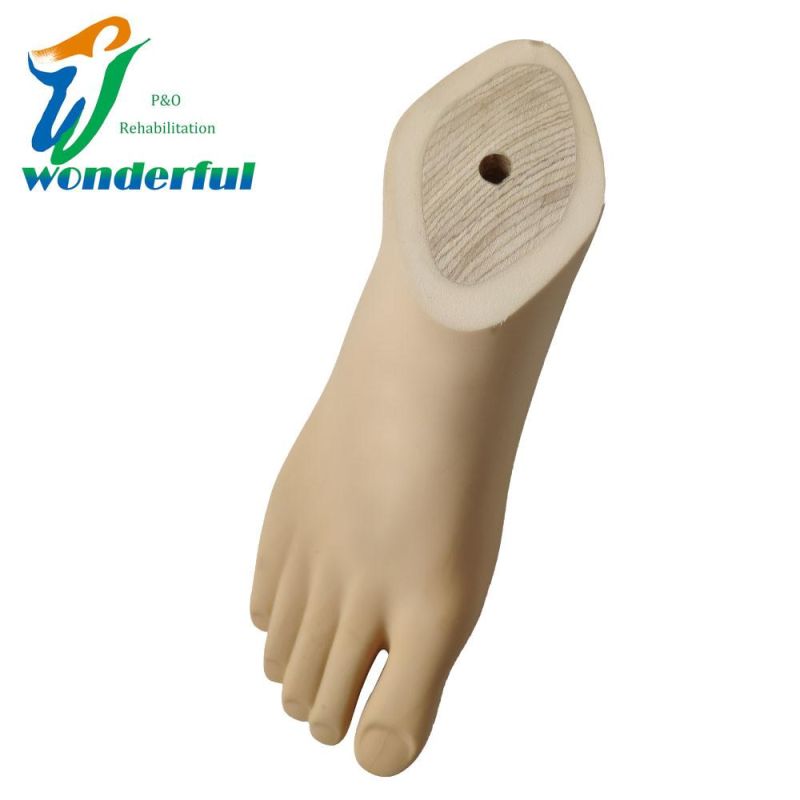 Artificial Limb Feet for Low Parts Amputees Prosthetic Sach Foot