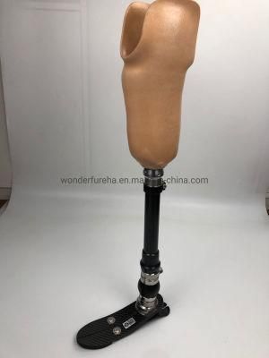 Prosthetic Lower Limbs Parts Foot Carbon Fiber