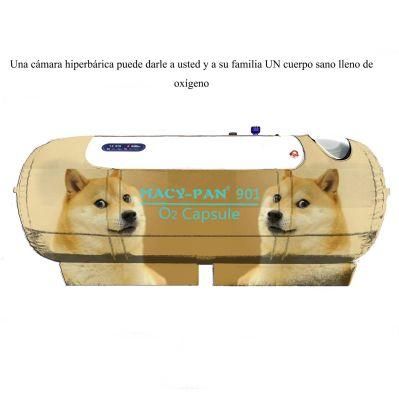 1.3ATA Hyperbaric Oxygen Therapy Equipment Oxygen Jet for Sale