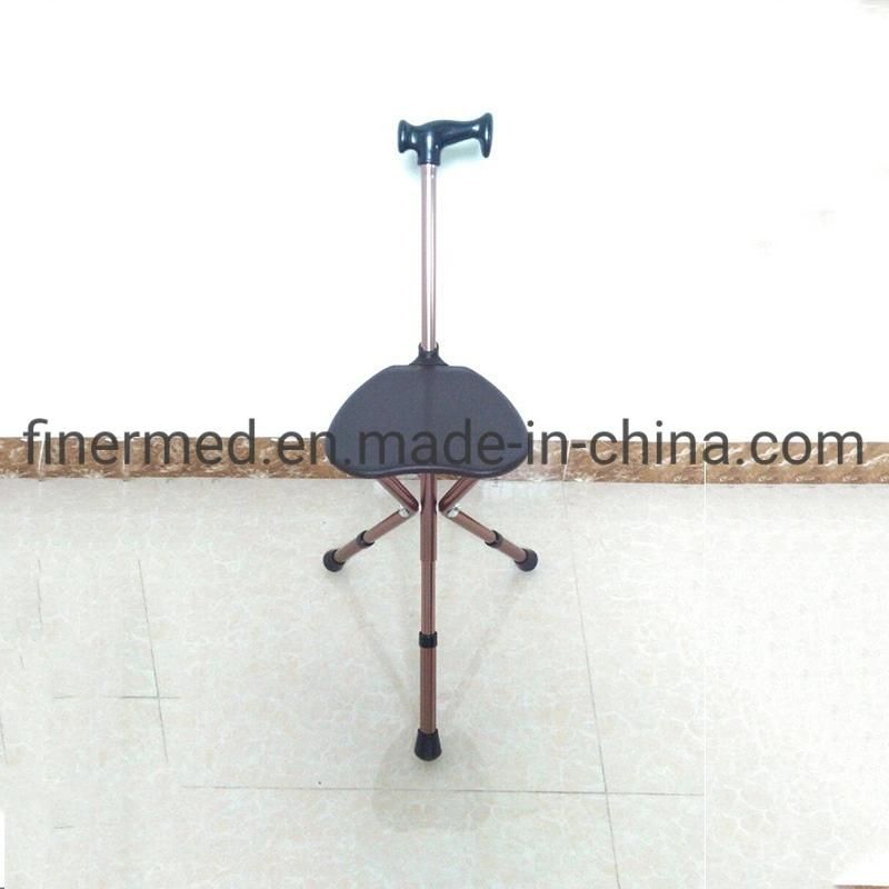 Folding Walking Cane Stick Seat Stool