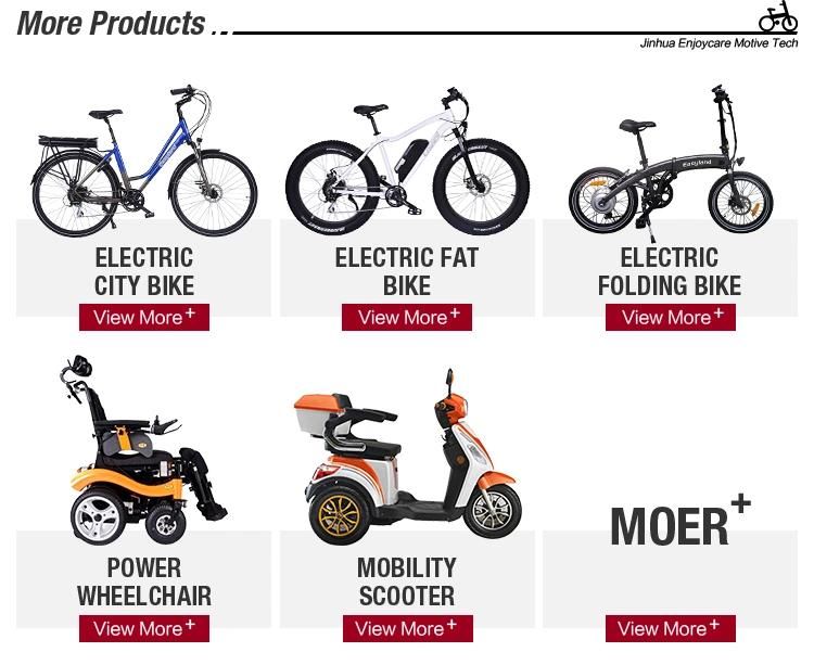 Electric Power Wheelchair with Ce Certificate (Enjoycare EPW68S)