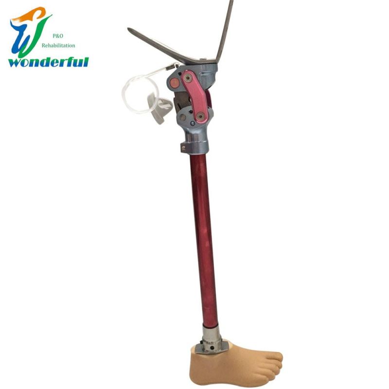 Prosthetic Knee Joint for Disarticulation with 3-Prong Adapter