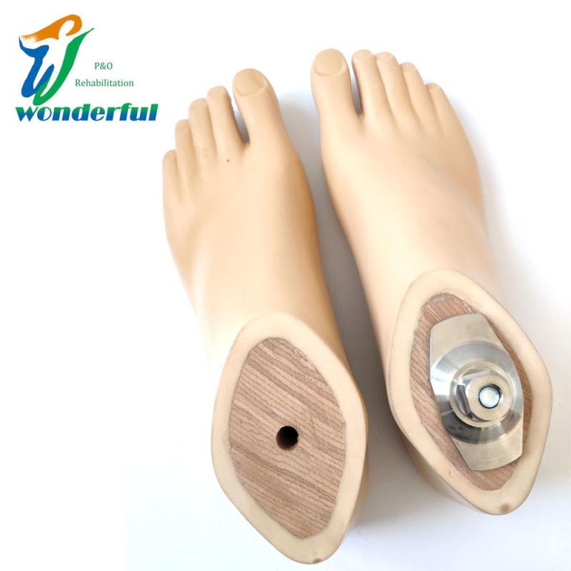 Artificial Limb Feet for Low Parts Amputees Prosthetic Sach Foot