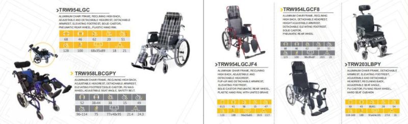 Wholesale Light Weight High Back Reclining Manual Wheel Chair