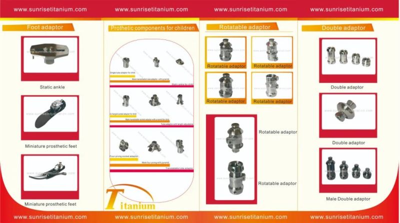 Prosthetic Components for Lower Limbs, Prosthetic Adapters, Prosthesis