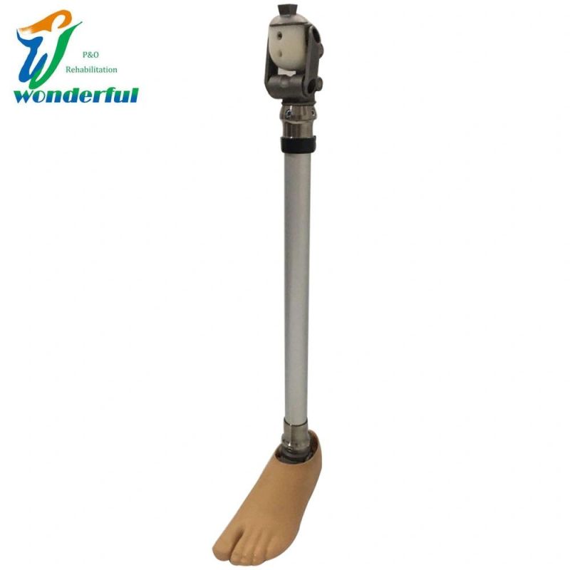 Artificial Limbs 4-Bar Linkage Prosthetic Knee