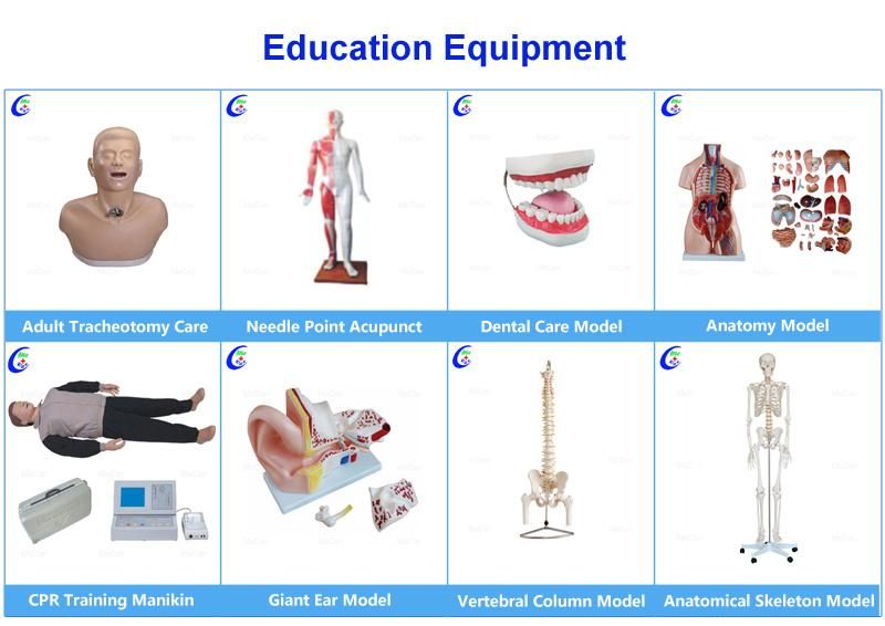 Health Care Directional Microphone Inside The Ear Hearing Aids