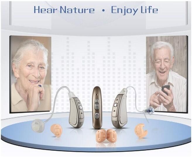 Ear Sound Amplifier Programmable Digital Bte Hearing Aid