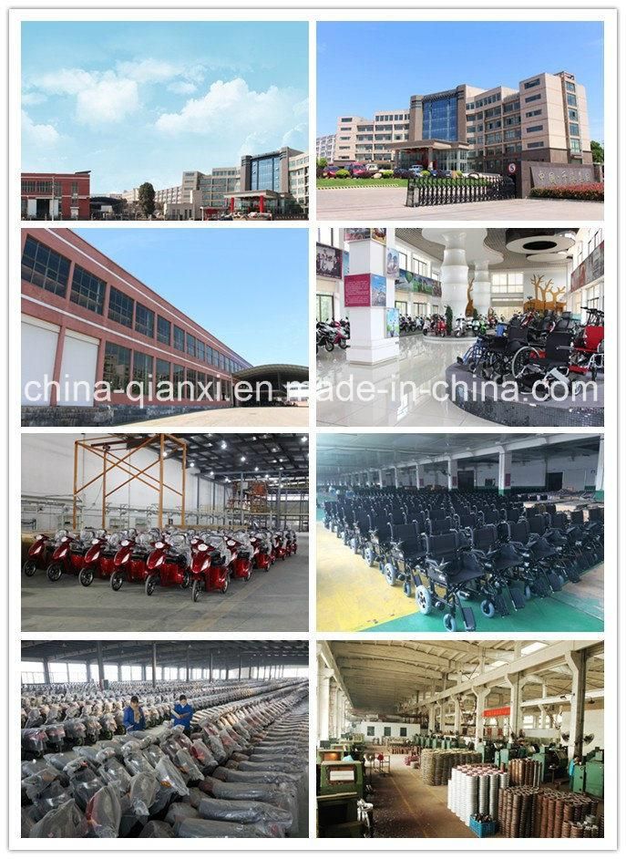 Ce Approved Electric Wheelchair for Disabled People