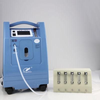 CE Certificated Rechargeable Oxygen Concentrator with 5-Way Divider