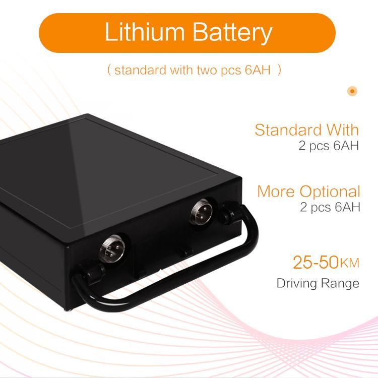 D10 Folding Portable Power Lithium Battery Electric Wheelchair for Outdoor