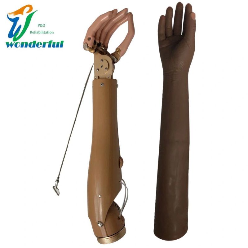 Prosthetic Components Cable Control and Mechanical Prosthesis Hand for Ae