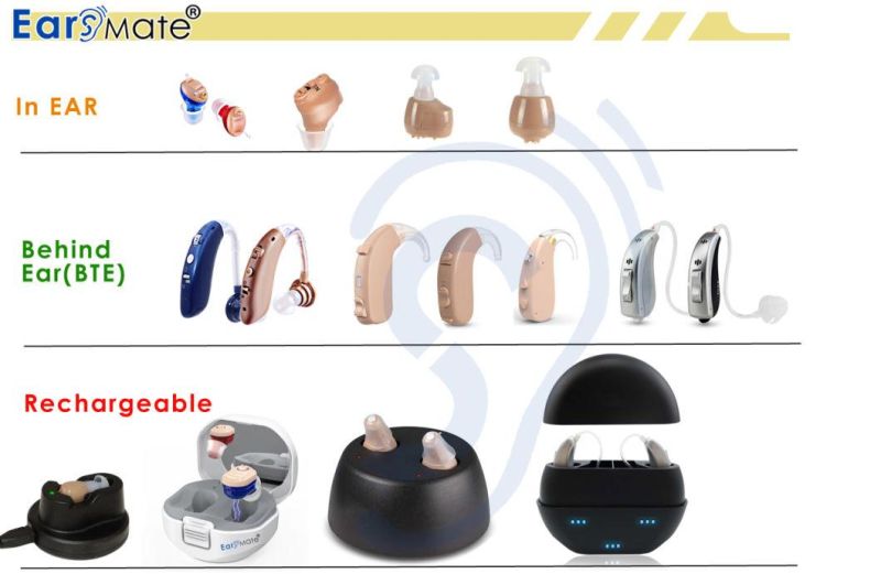 Factory Price Mini in Ear Rechargeable Hearing Aids E19 for Seniors Hearing Loss on Sale Design as Bluetooth Earphone Analog Hearing Aid Voice Amplifier