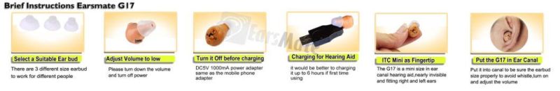 in Ear Rechargeable Hearing Aid Invisible Earphone Sound Amplifier Domes and USB Charger Portable Case Analog G17