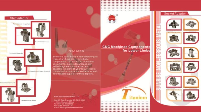 Prosthetic Components for Lower Limbs, Prosthetic Adapters, Prosthesis