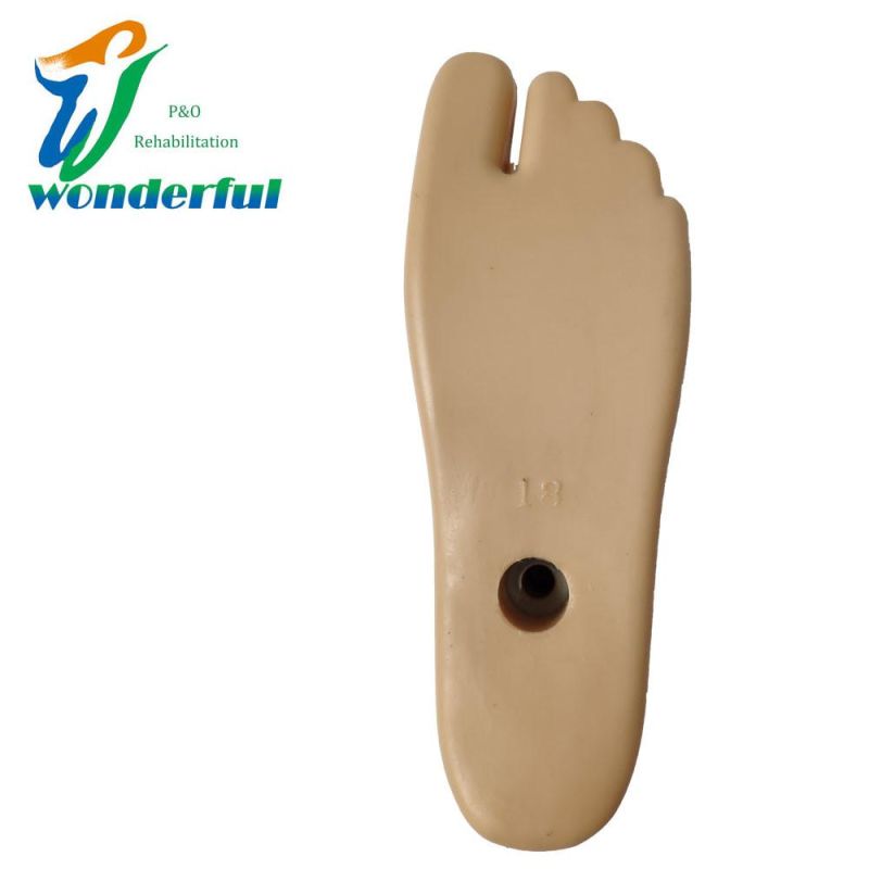 Hot Sale Skin Color Polyurethane Prosthetic Sach Foot for Children