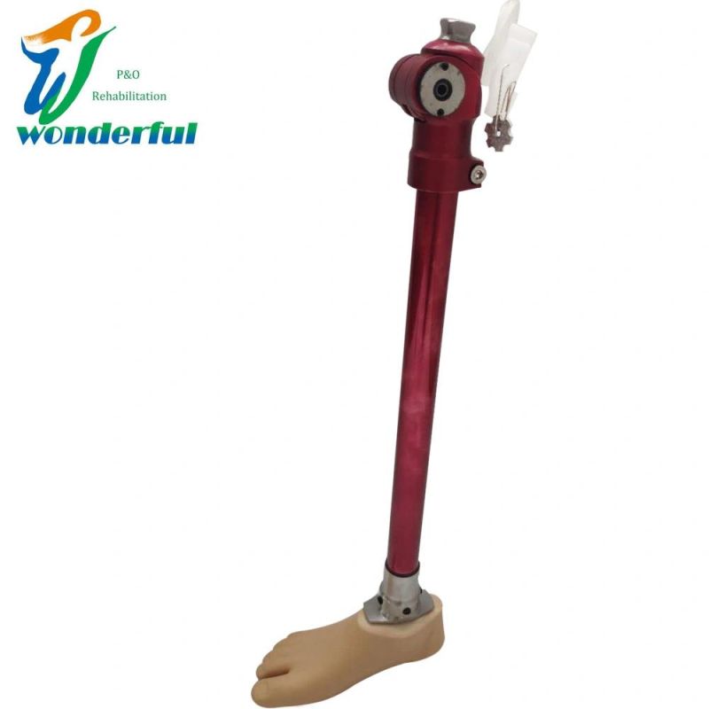 Single Axis Knee Joint for Children with Wire Lock