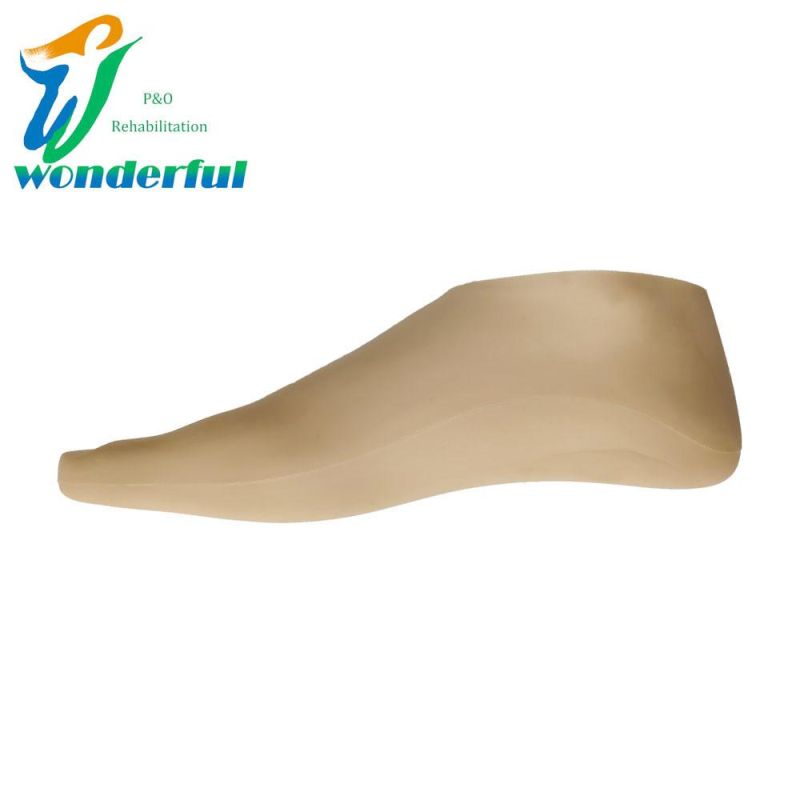 Artificial Limb Feet for Low Parts Amputees Prosthetic Sach Foot