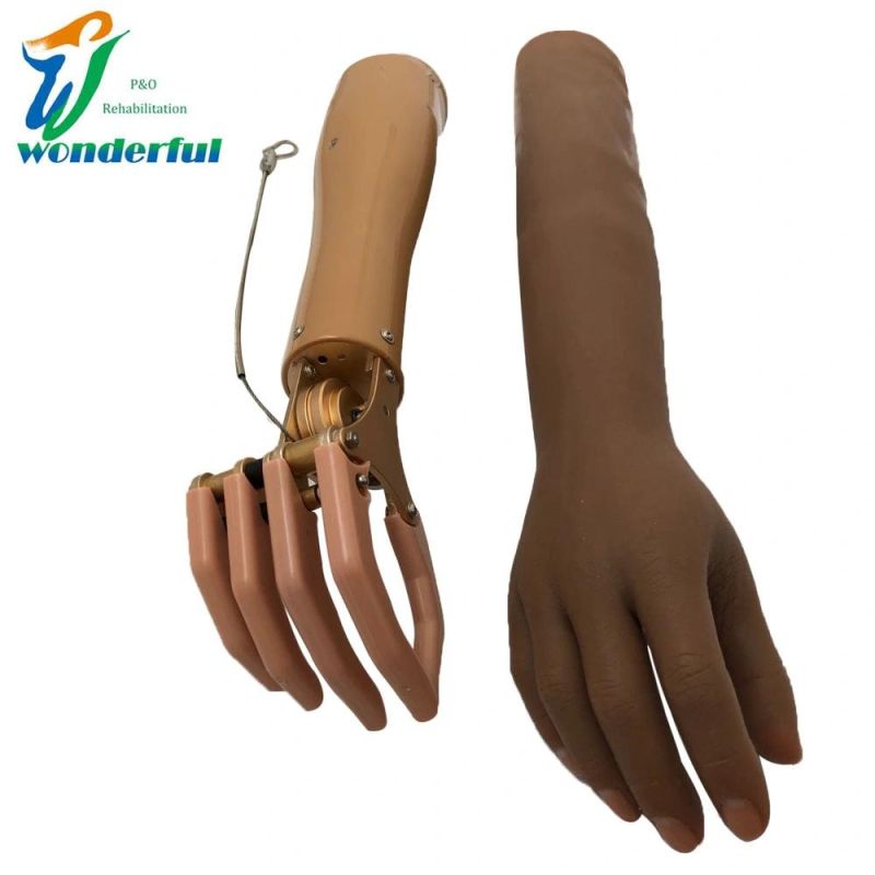 Prosthetic Components Cable Control and Mechanical Prosthesis Hand for Ae