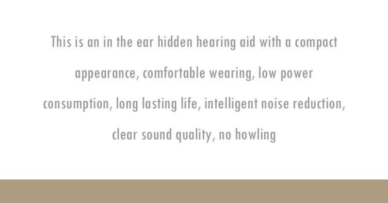 Customized CE Approved Ear Sound Emplifie Rechargeable Aids Hearing Aid