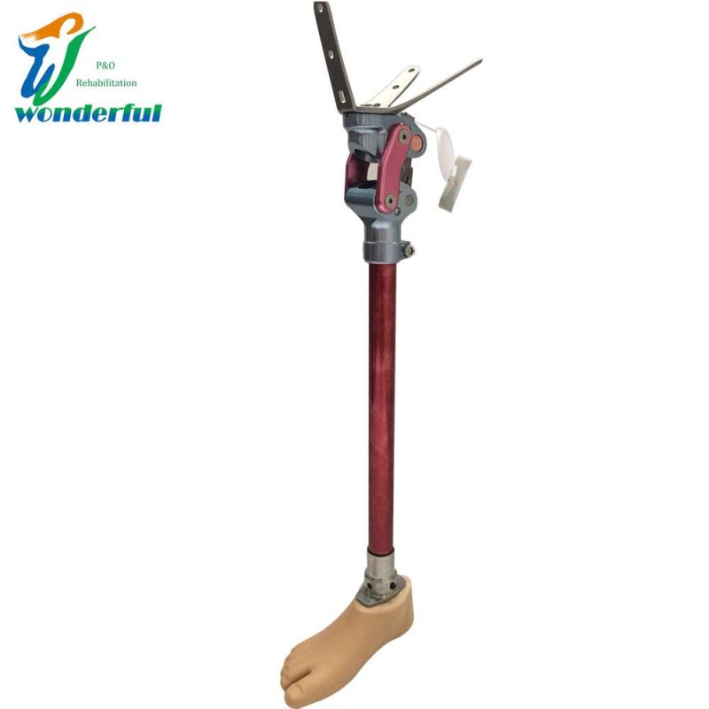 Prosthetic Knee Joint for Disarticulation with 3-Prong Adapter