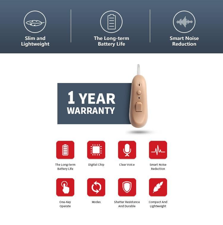 Hearing Amplifier Deaf Assist Multi-Channel Digital Hearing Aid