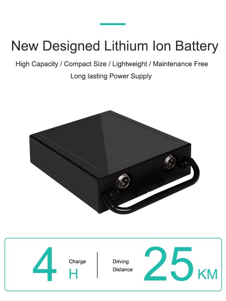 Jbh D20 Lithium Polymer Battery Electric Mobility Wheelchair for Travel