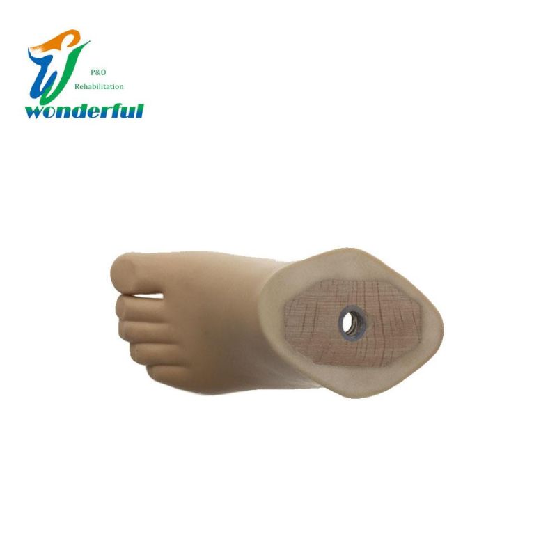 High Quality Artificial Limbs Foot Prosthetic Sach Foot for Child