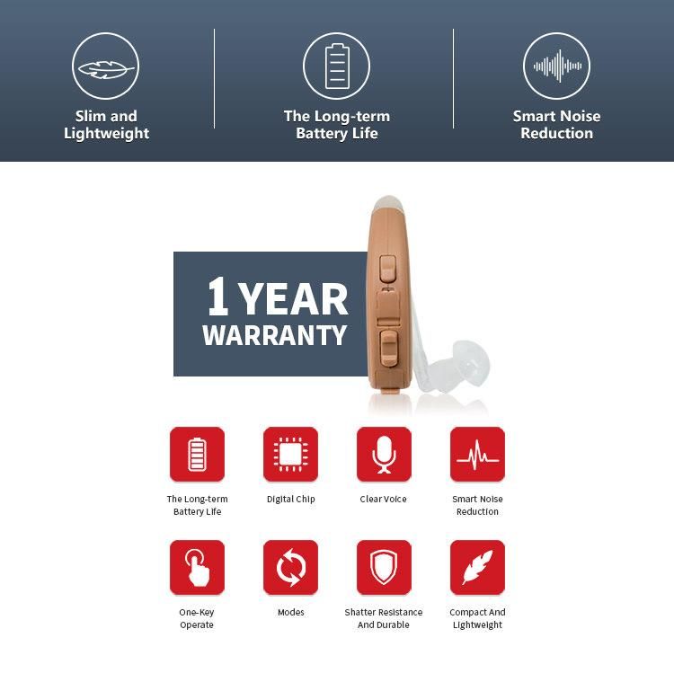 High Quanlity Digital Programmable Rechargeable Hearing Aid for Deaf People