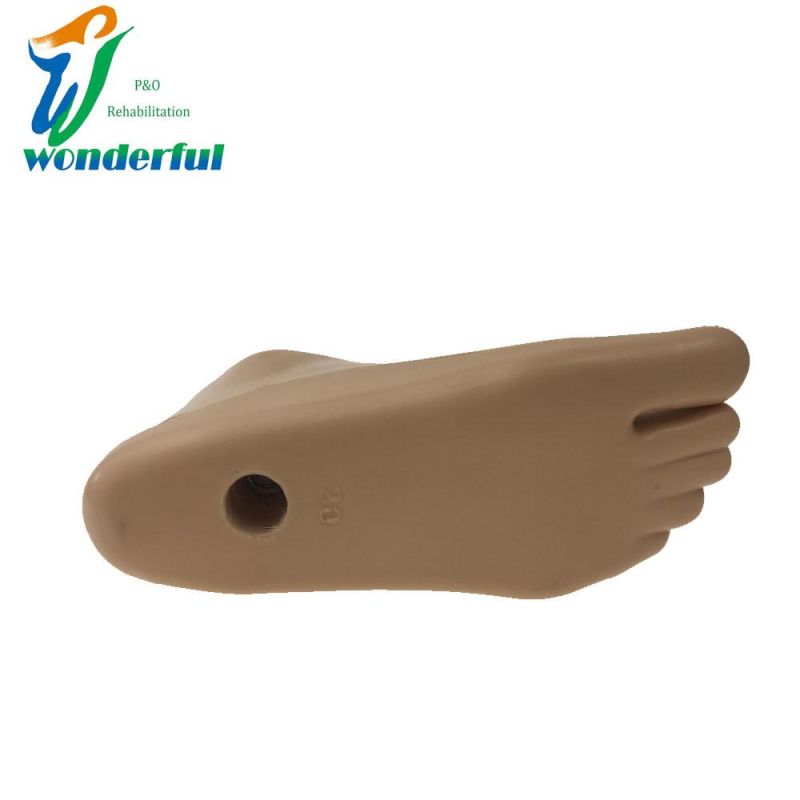 High Quality Artificial Limbs Foot Prosthetic Sach Foot for Child