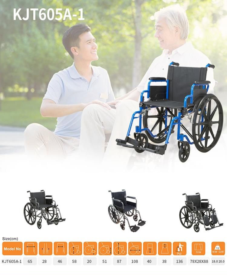 Manual Wheelchair with Flip up Armrest Detachable Footrest Folding Wheel Chair Drive Medical Equipment for Disabled People