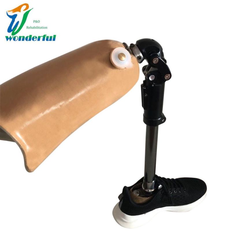 Artificial Limb Medical Aluminum Prosthetic Pneumatic Knee
