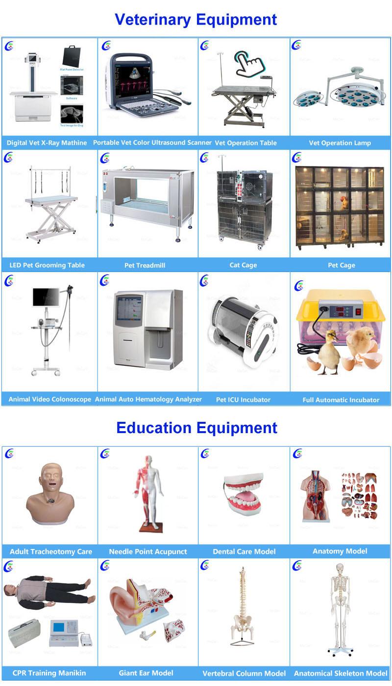 Medical Equipment Folding Power Electric Wheelchair