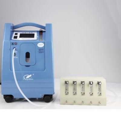 Rechargeable Household 5 Liter Oxygen Concentrator with 5-Way Divider