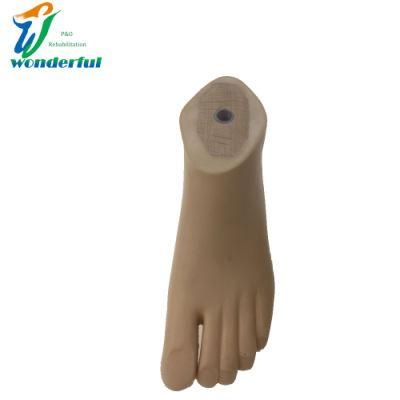 High Quality Artificial Limbs Foot Prosthetic Sach Foot for Child