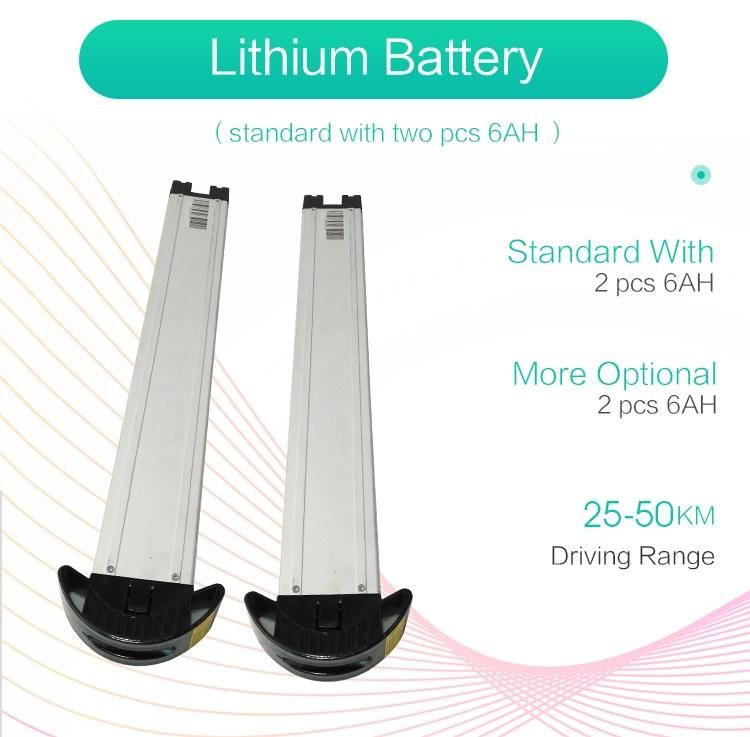 Deatchable Lithium Battery Folding Electric Wheelchair with Ce&FDA