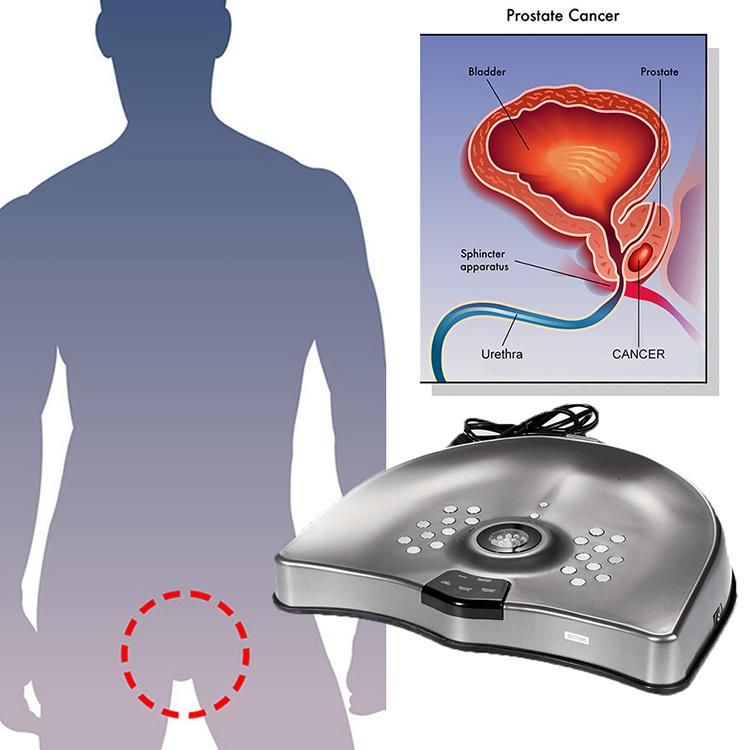 Portable Medical Physical Therapy Prostate Disease Treatment Device